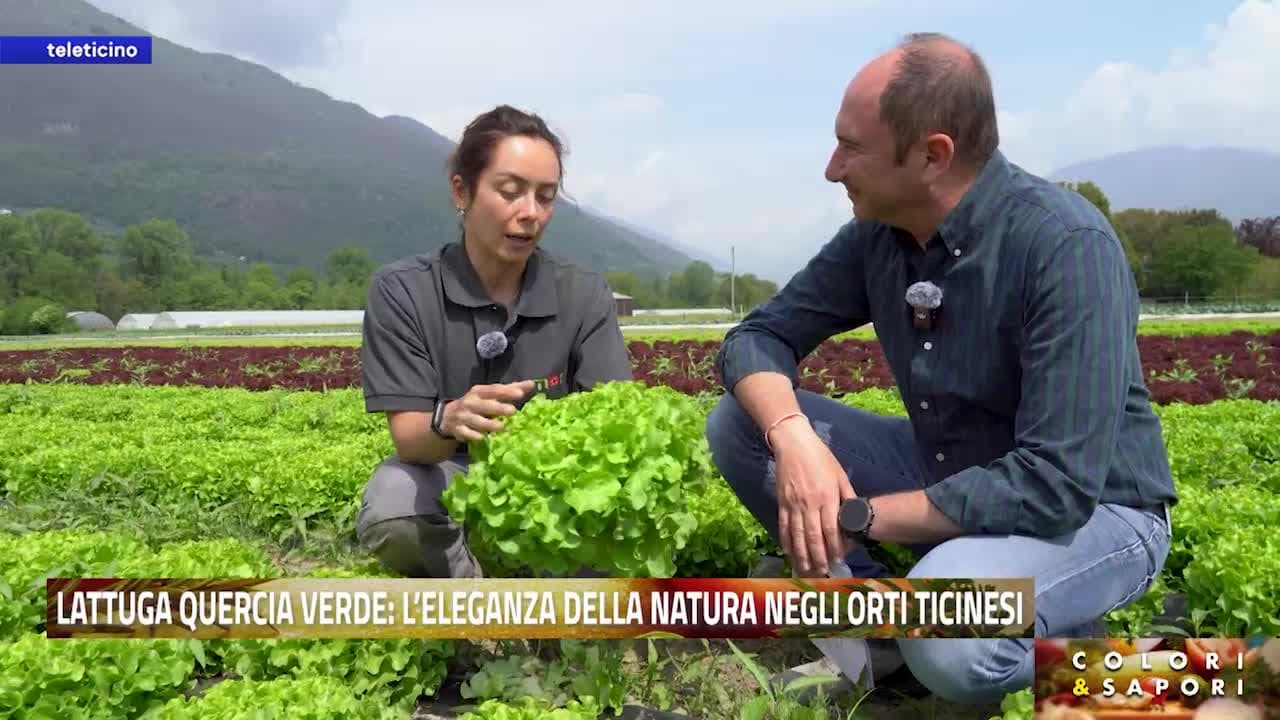 Colori & Sapori del 1 maggio 2026