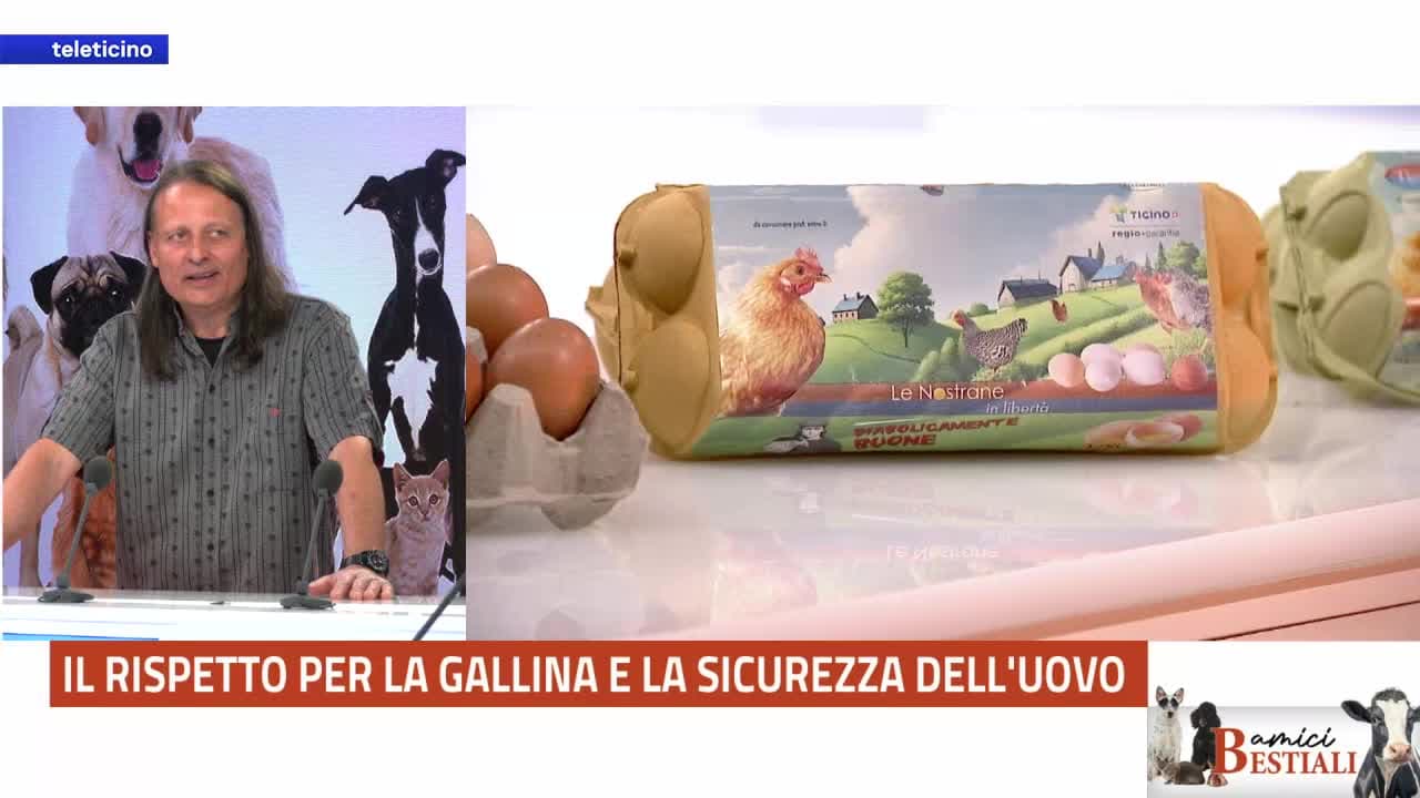 Amici Bestiali del 13 aprile 2026 - IL RISPETTO PER LA GALLINA E LA SICUREZZA DELL'UOVO