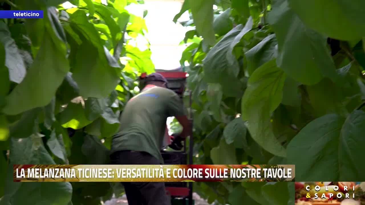 Colori & Sapori del 28 aprile 2026