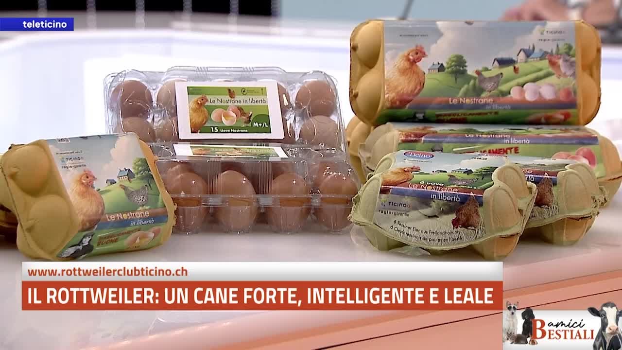 Amici Bestiali del 1 giugno 2026 - Il Rottweiler, forte, intelligente e leale