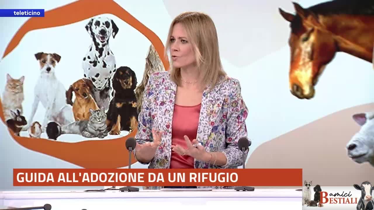 Amici Bestiali del 9 febbraio 2026 - Guida all’adozione in rifugio