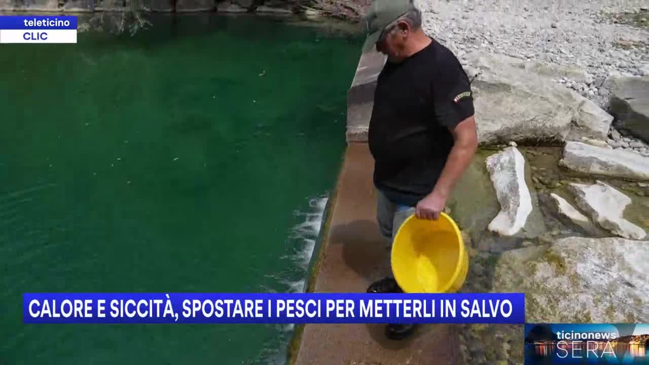 Ticinonews SERA del 15 luglio 2026