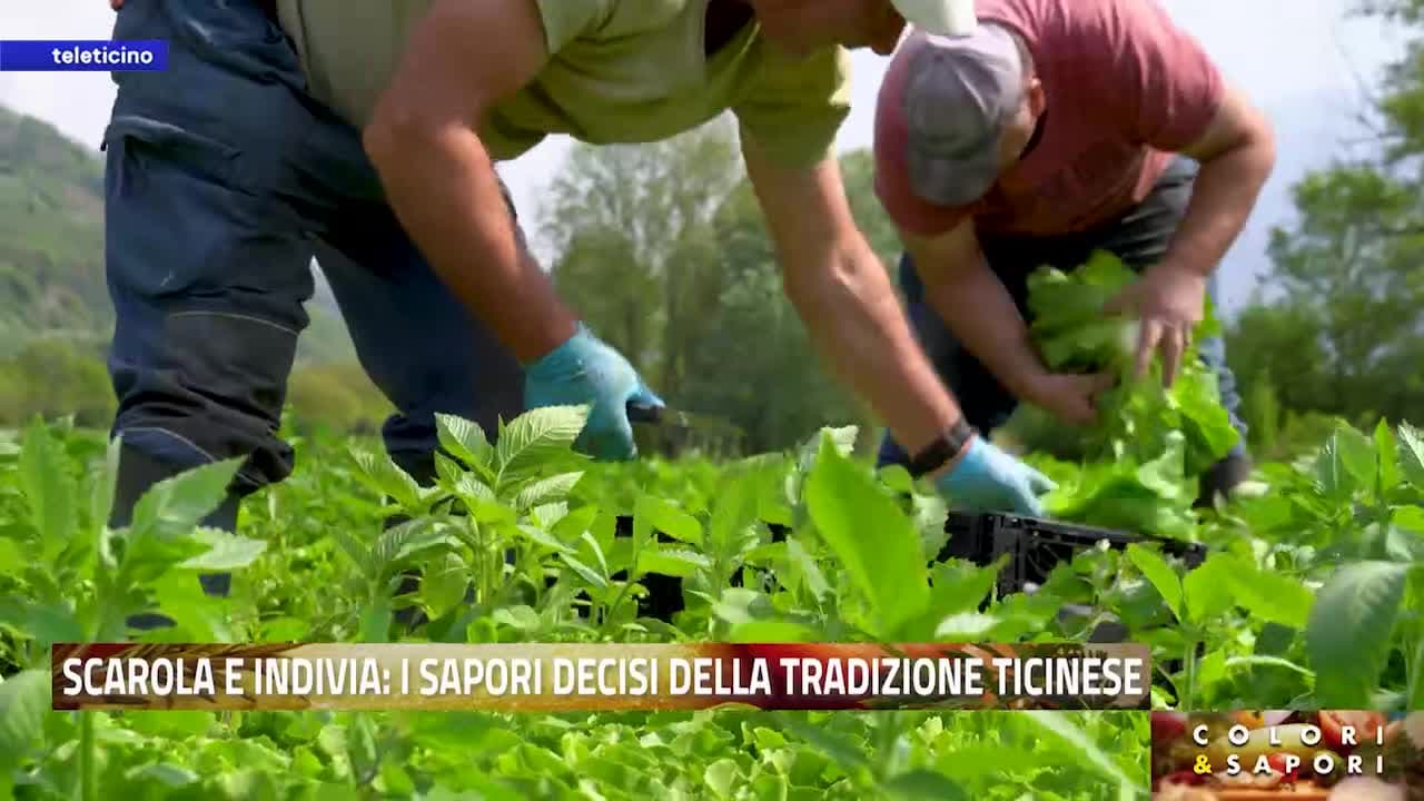 Colori & Sapori del 30 aprile 2026