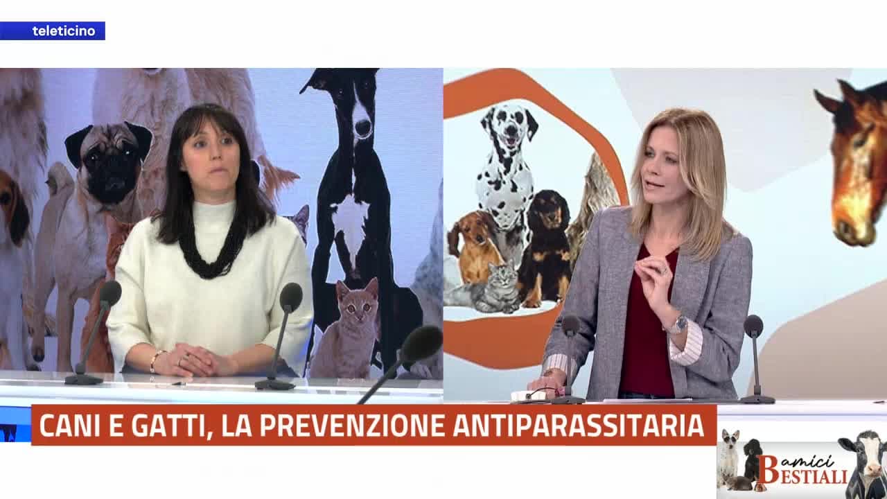 Amici Bestiali del 30 marzo 2026 - CANI E GATTI, LA PREVENZIONE ANTIPARASSITARIA