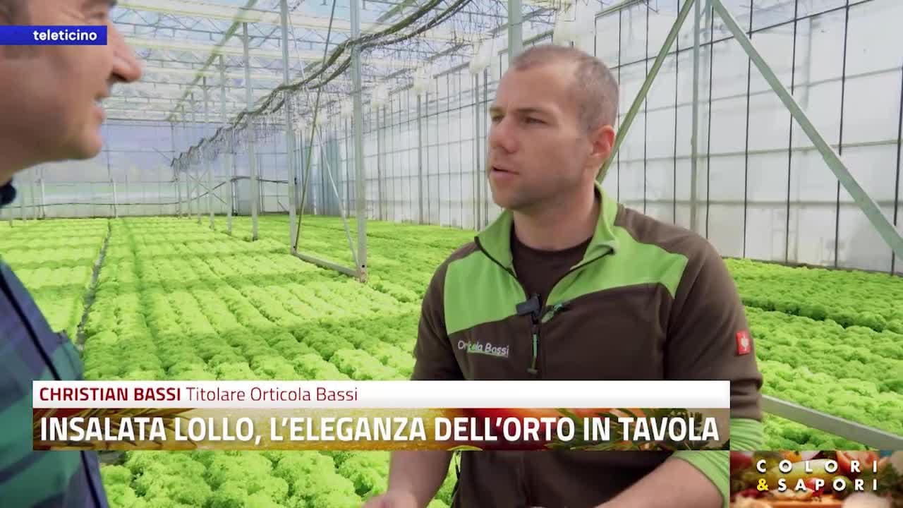 Colori e Sapori del 26 marzo 2026